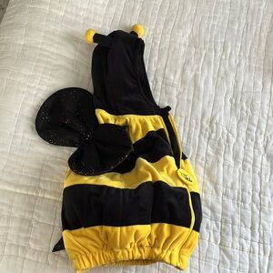 Bee costume